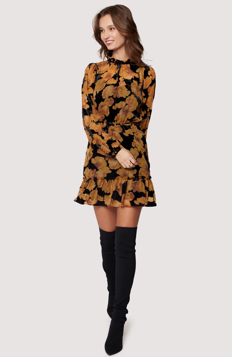 Lost + Wander Massimo Floral Long Sleeve Minidress, Alternate, color, 