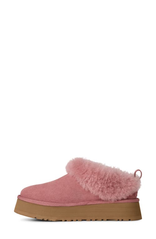 Ugg(r) Tazzelle Genuine Shearling Collar Slipper In Pink