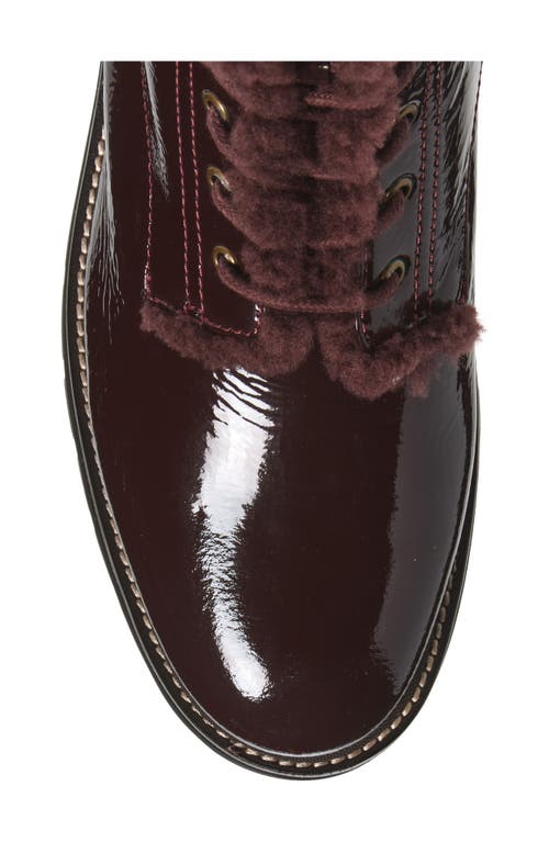 Tory Burch Miller Genuine Shearling Lined Combat Boot