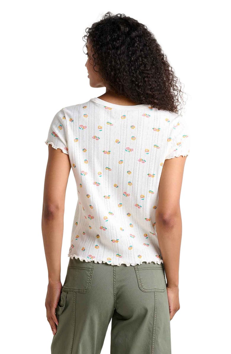 Foothill Pointelle SS Baby Tee