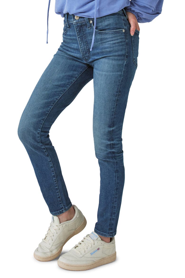 Bridgette High Waist Skinny Jeans, Alternate, color, GEMINI