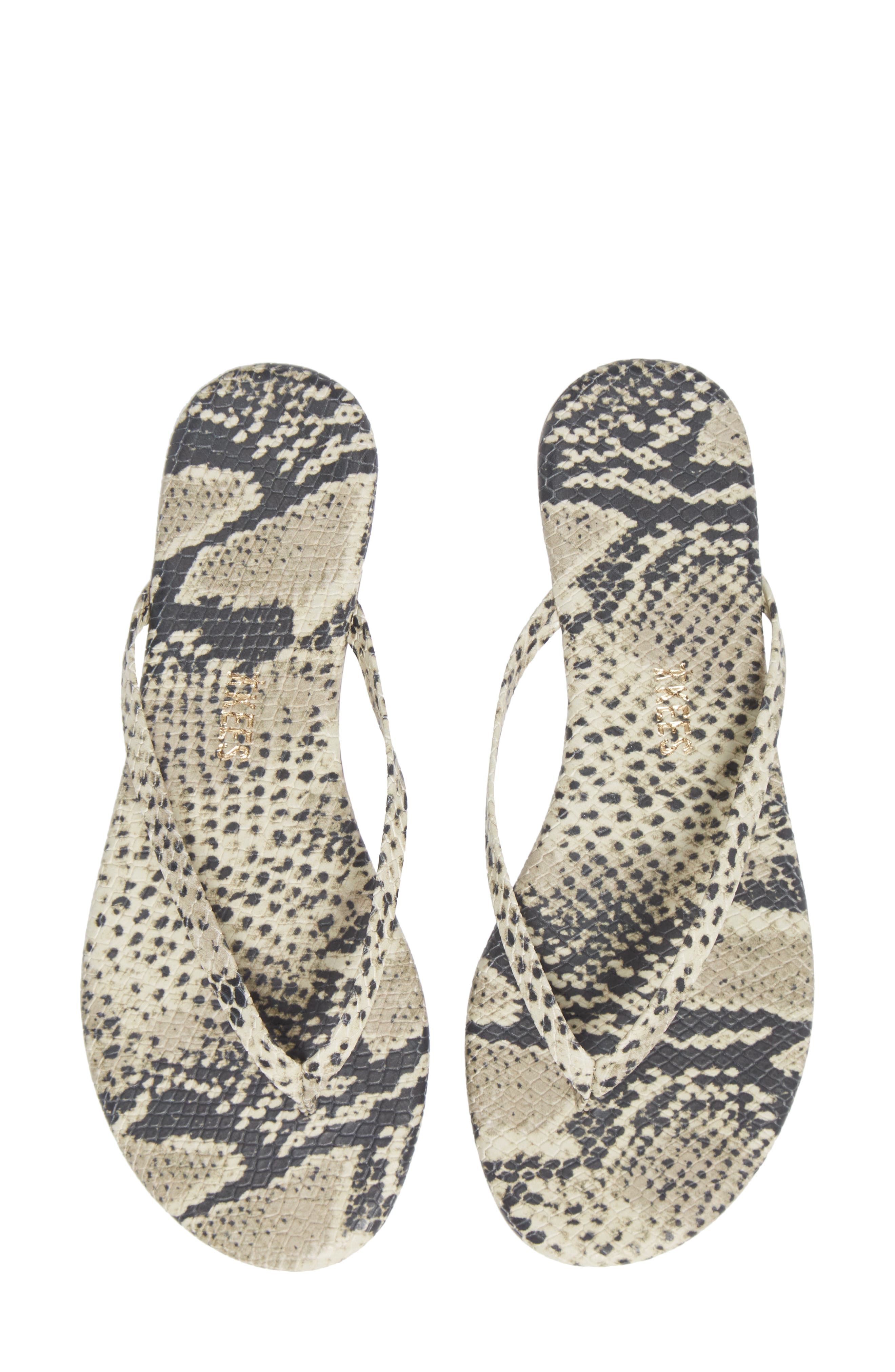  Sand Snake