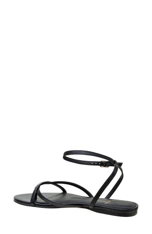 Shop Linea Paolo Luz Ankle Strap Sandal In Black
