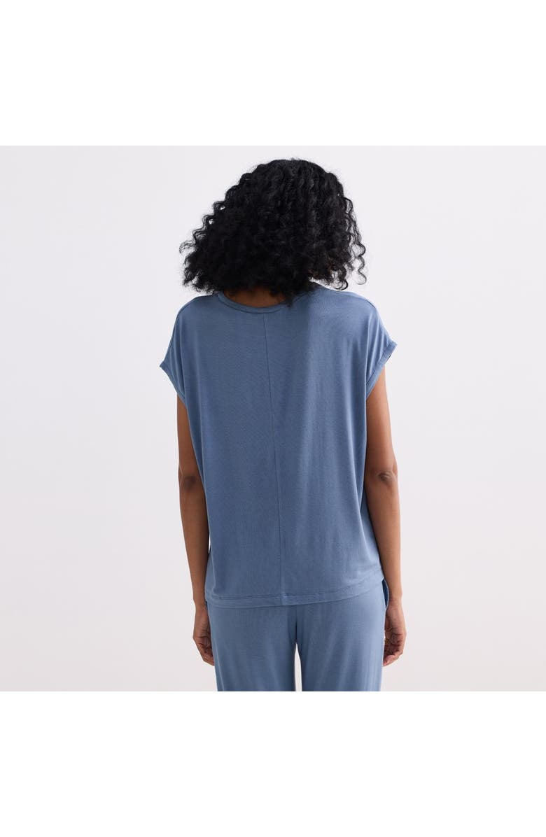 Reistor Relaxed Tee in Blue, Alternate, color, Blue Solid