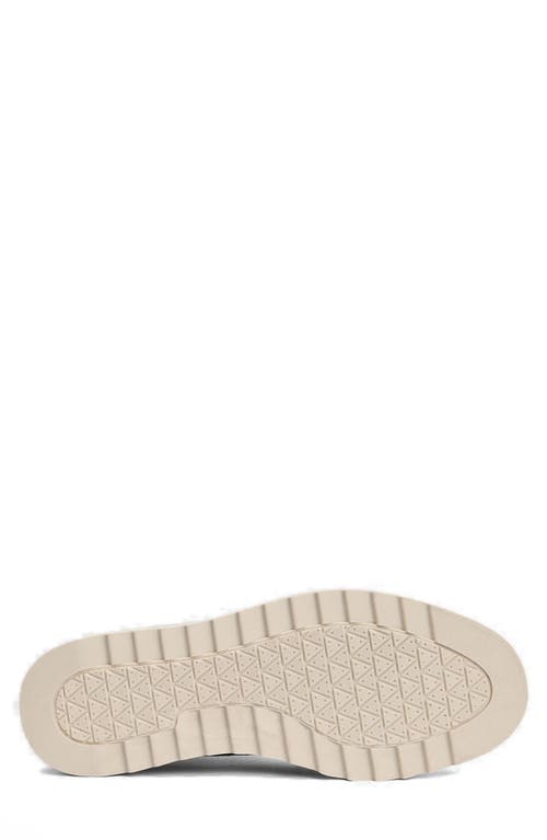 Barbour Hadston Chukka Boot In Multi
