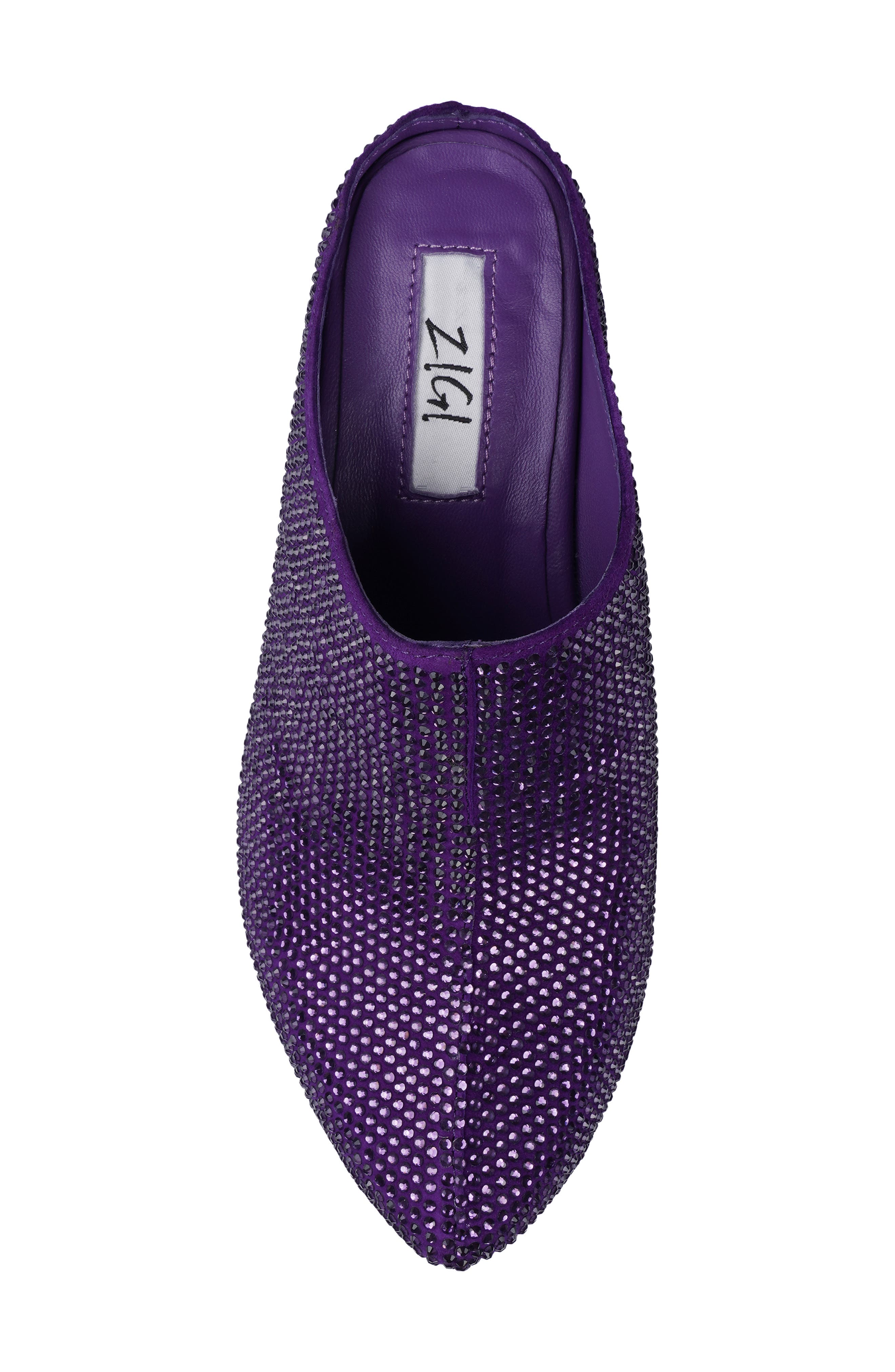 Ziska Embellished Clog, Alternate, color, PURPLE SUEDE