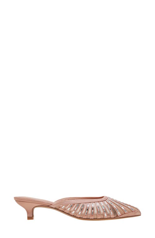 Linea Paolo Inka Pointed Toe Kitten Heel Mule In Pink