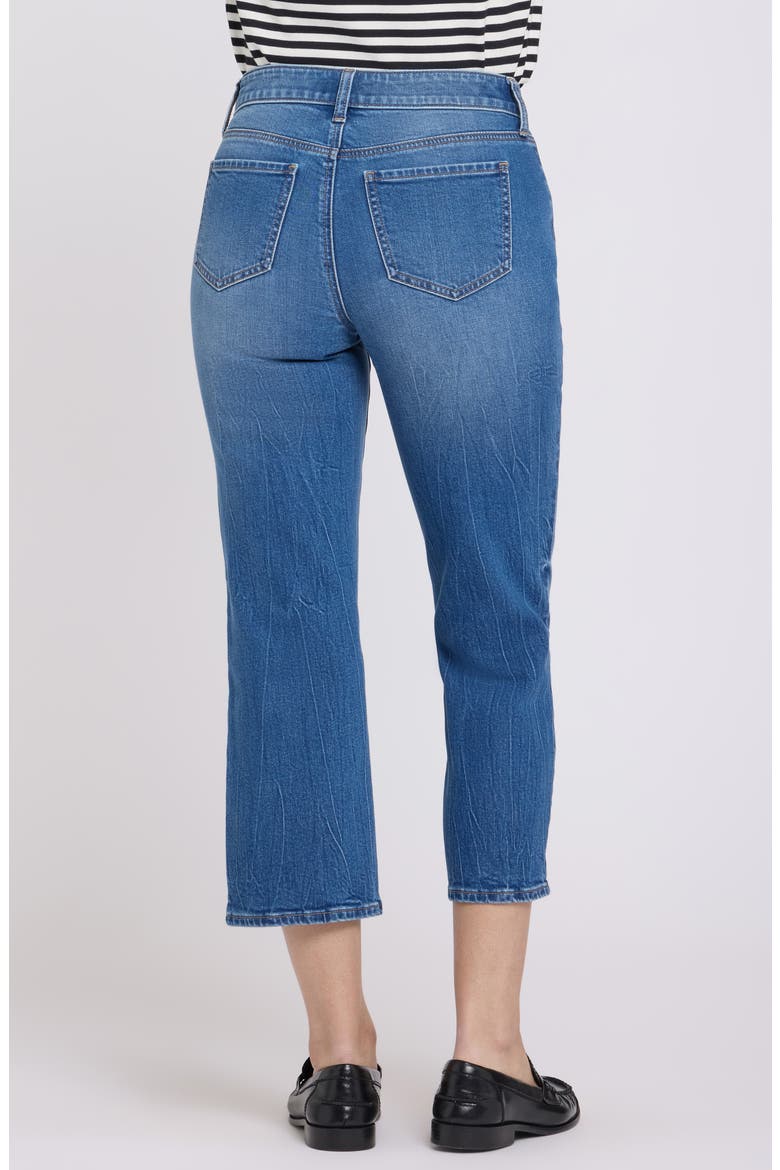Piper Crop Relaxed Straight Leg Jeans, Alternate, color, WILD RIVER