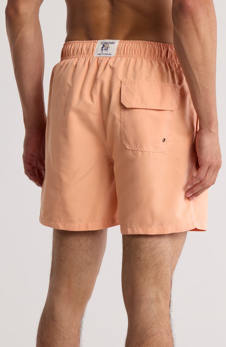 Vintage Summer Volley Swim Shorts, Alternate, color, Orange