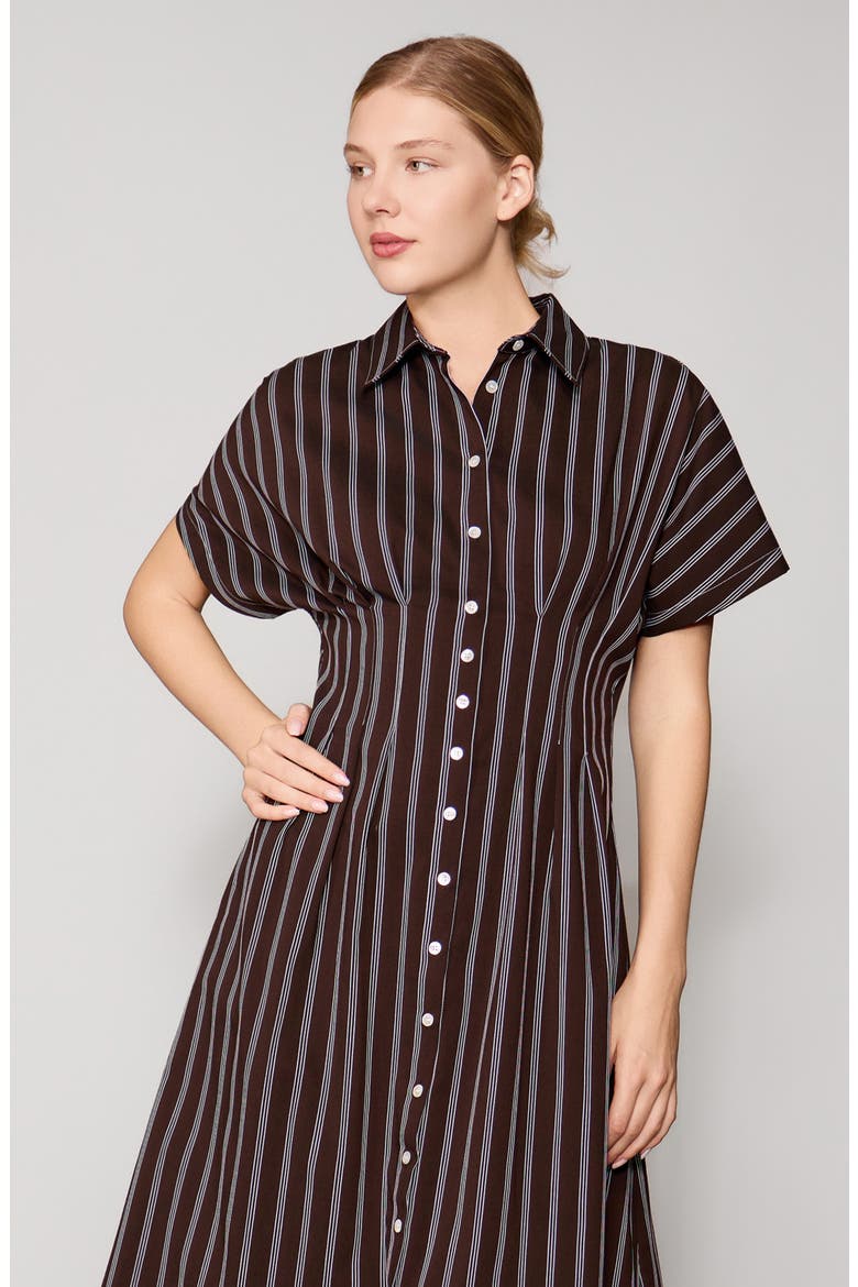 Contrast Stitch Midi Shirtdress, Alternate, color, BROWN STRIPE