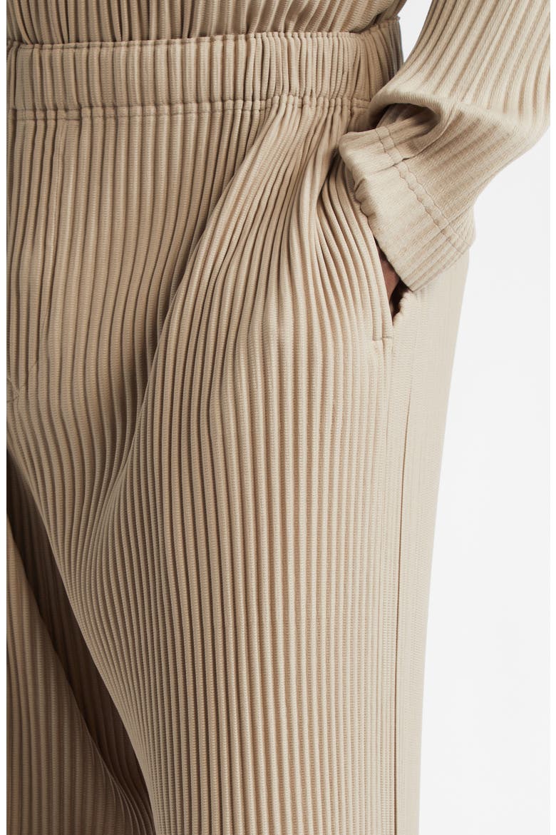 Monthly Colors September Pleated Crop Wide Leg Pants, Alternate, color, GRAIN BEIGE