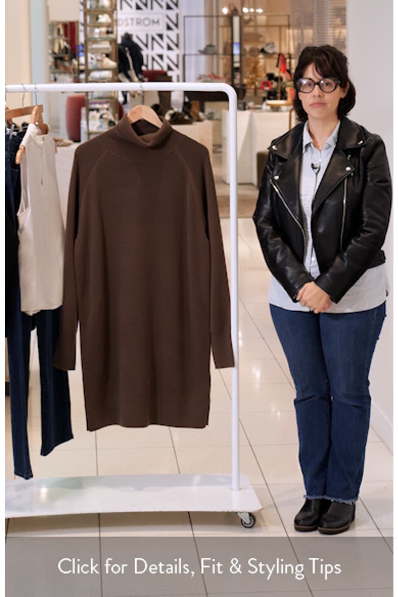 Felindane Turtleneck Long Sleeve Wool & Cashmere Sweater Dress video