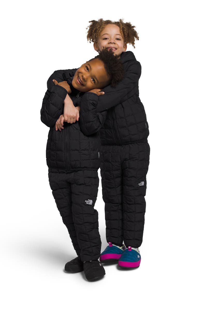 The North Face Kids' Reversible ThermoBall<sup>™</sup> Hooded Jacket, Alternate, color, 