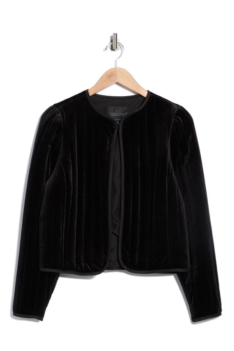 Quilted Velvet Jacket, Alternate, color, BLACK