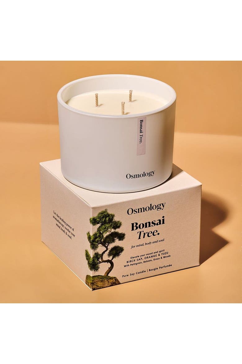 Bonsai Tree Scented Triple Wick Candle, Alternate, color, white