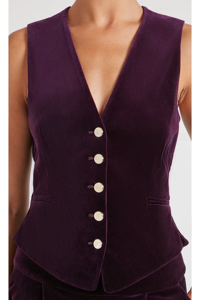 Clove Velvet Waistcoat, Alternate, color, Dark Amethyst