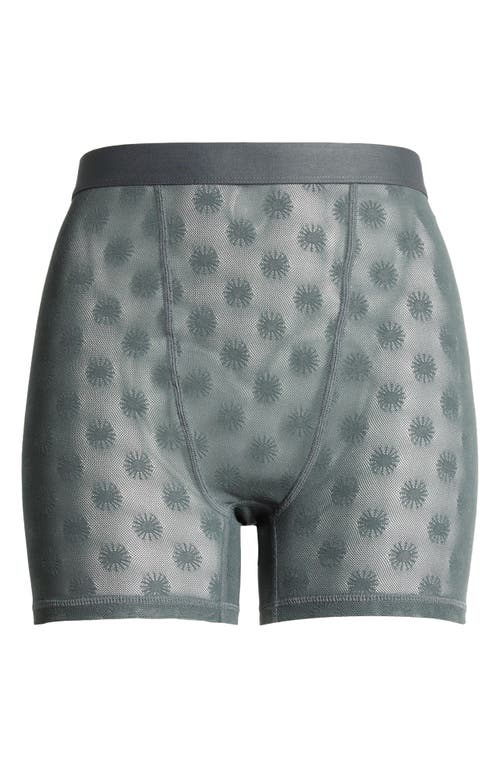 Ugg(r) Alexiah Mesh Boyshorts In Forester Sun
