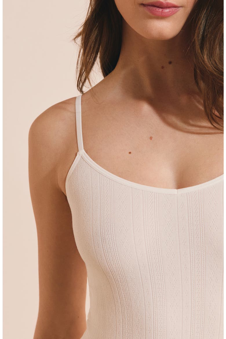 Etam Daily Seamless Ribbed Scoop Neck Bodysuit (Women) | Nordstrom