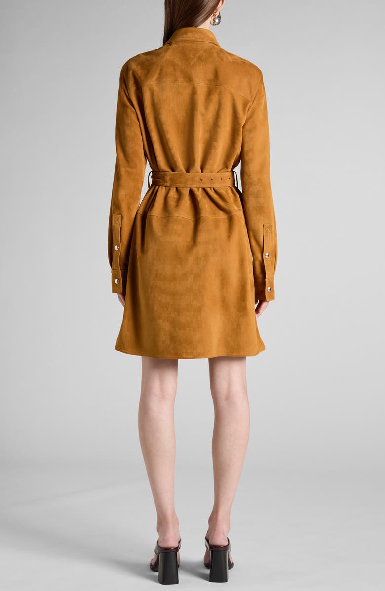Bottega Veneta Embossed Suede Belted Shirtdress, Alternate, color, 