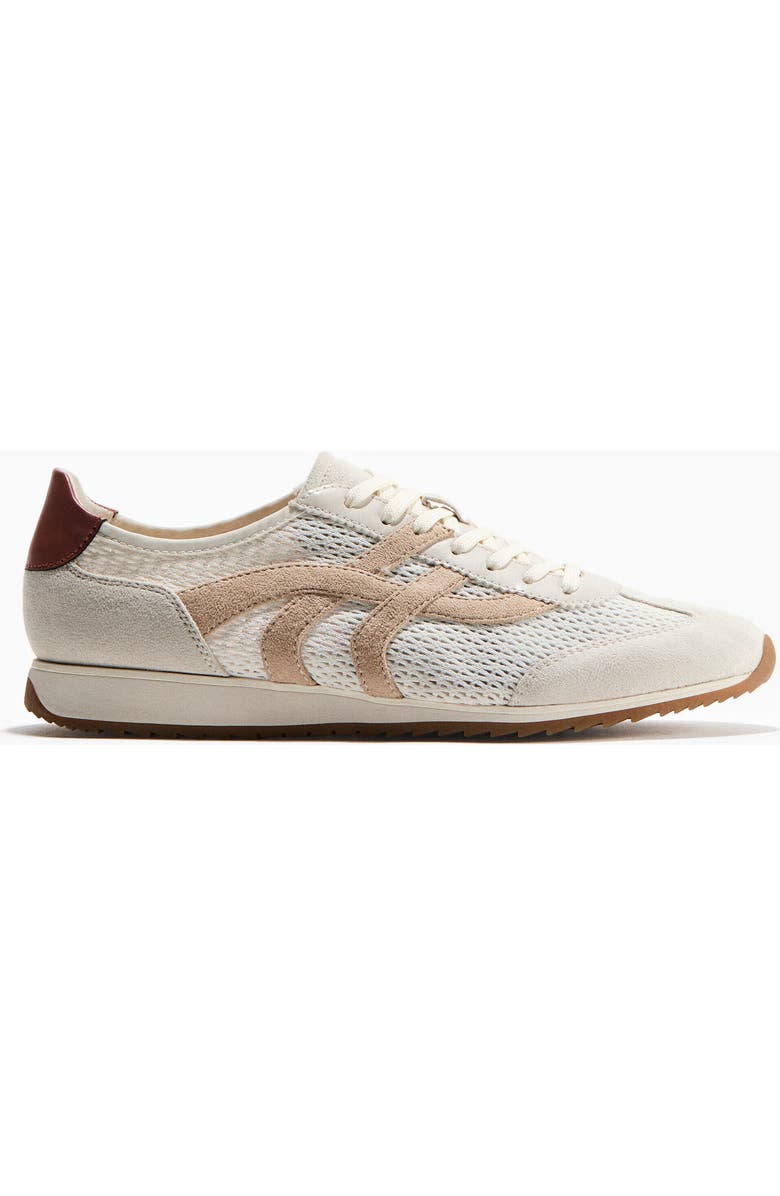 H&M Trainers, Main, color, Cream