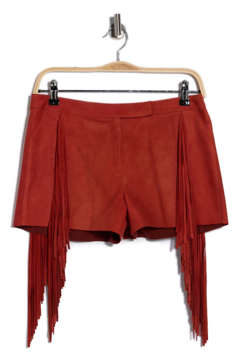 Fringed Lambskin Leather Shorts, Alternate, color, BRICK