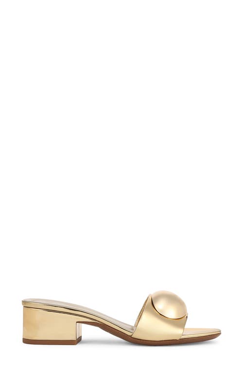 SARTO BY FRANCO SARTO SARTO BY FRANCO SARTO NIKA SLIDE SANDAL 
