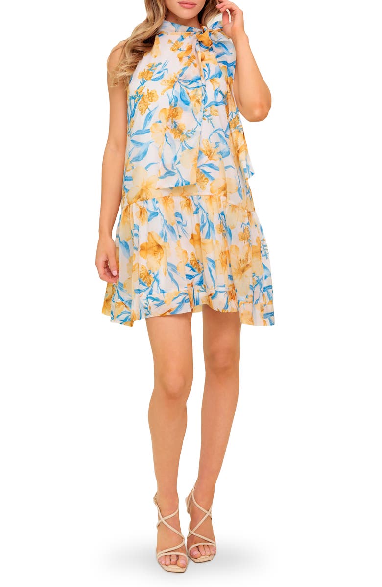 FLYING TOMATO Floral Tie Neck Sleeveless Trapeze Dress, Main, color, Blue/ Ivory