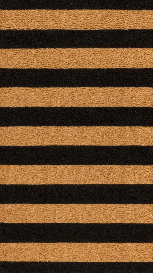 Jonathan Y Peater Classic Casual Commerical Natural Coir Indoor/outdoor Mat In Black
