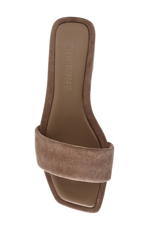 Shop Steve Madden Lumina Slide Sandal In Taupe Suede