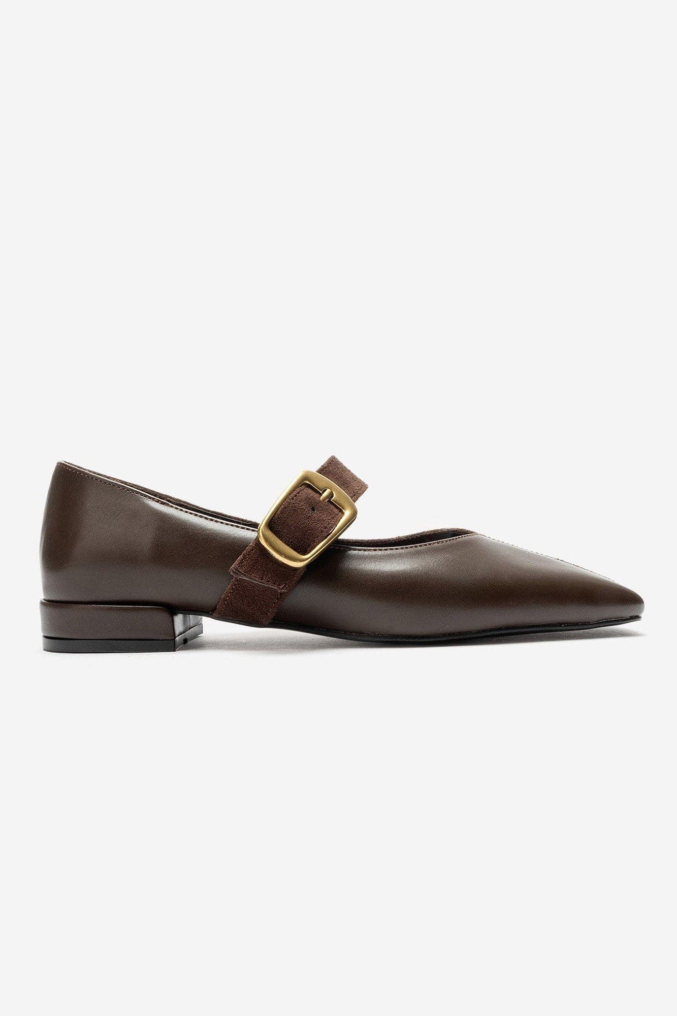 Curzon Belted Ballerina Flat, Alternate, color, Brown Suede