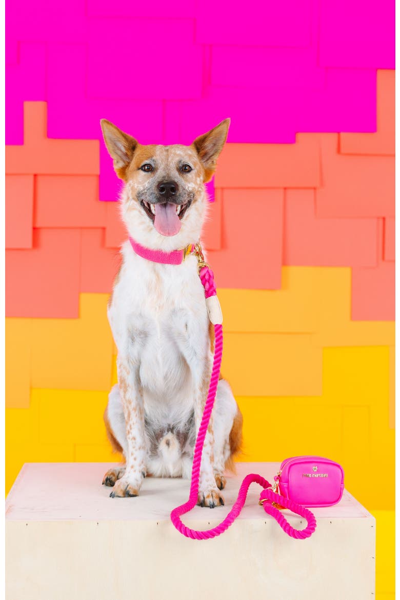 Christine Rope Dog Leash, Alternate, color, Christine 4ft