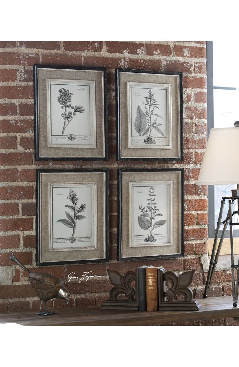 Uttermost Casual Grey Study Set of 4 Botanical Prints, Alternate, color, 
