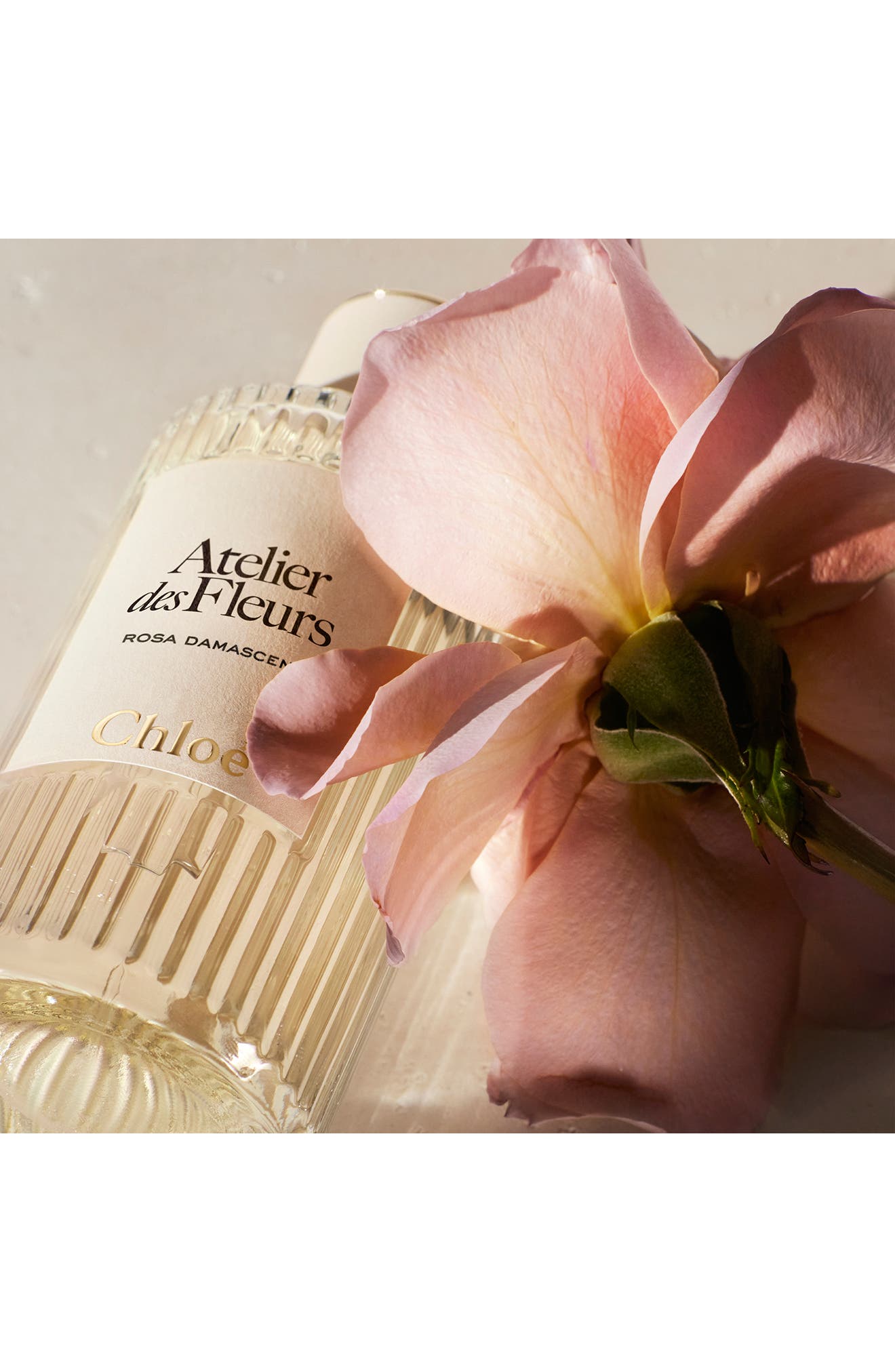 Atelier des Fleurs Rosa Damascena Eau de Parfum (Women) | Nordstrom