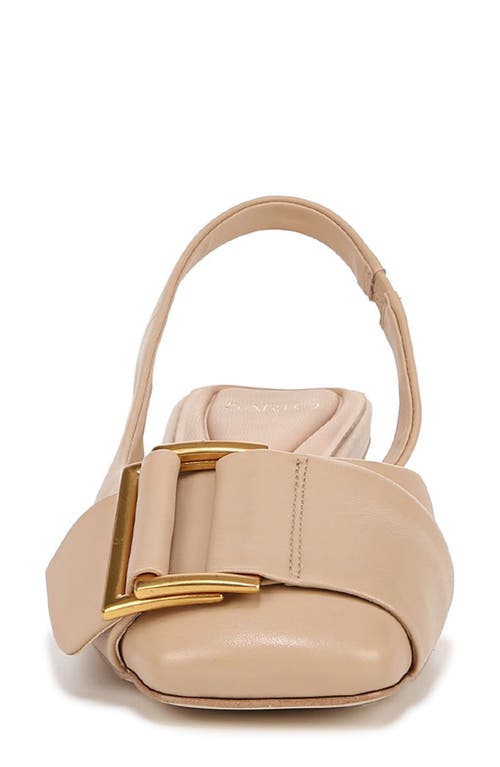 Sarto By Franco Sarto Tracy Slingback Square Toe Flat