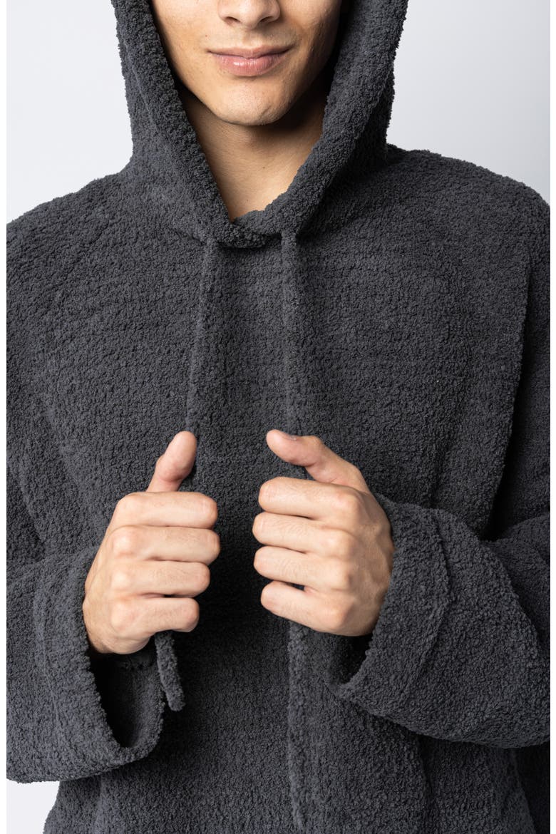 Snug Blanket Hoodie, Alternate, color, COAL