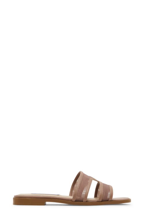 Steve Madden Hazel Slide Sandal In Brown