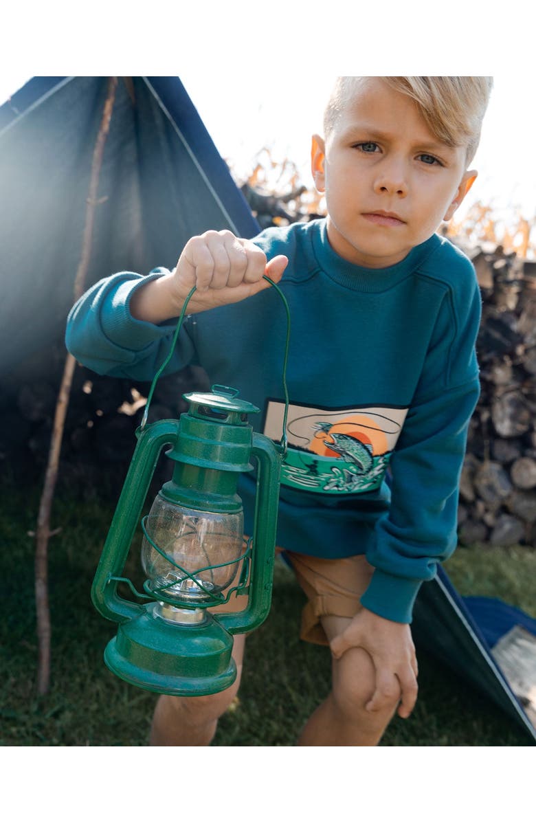 Deux par Deux Little Boy's Pullover French Terry Graphic Sweatshirt Teal And Peach, Alternate, color,