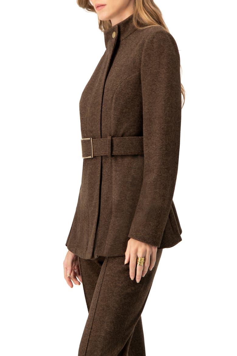 Belted High Neck Coat, Alternate, color, Brown