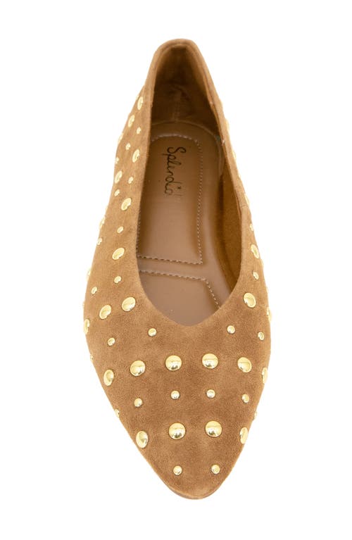 Splendid Latouche Stud Flat In Brown