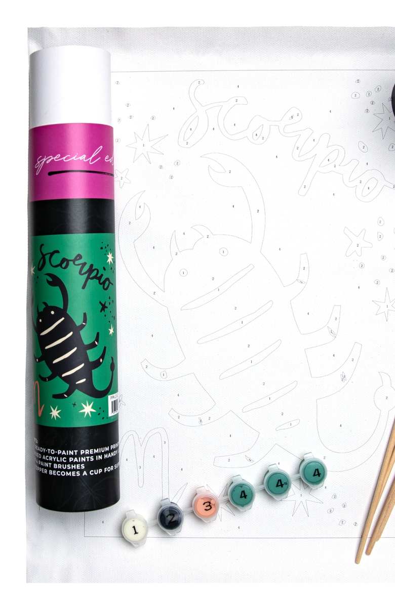 Pink Picasso Kits Special Edition Zodiac Scorpio Paint by Numbers Kit, Main, color, 