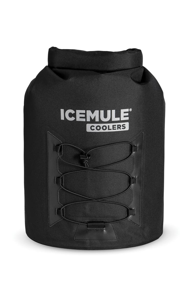 ICEMULE Pro Large Waterproof Cooler Backpack, Main, color, 