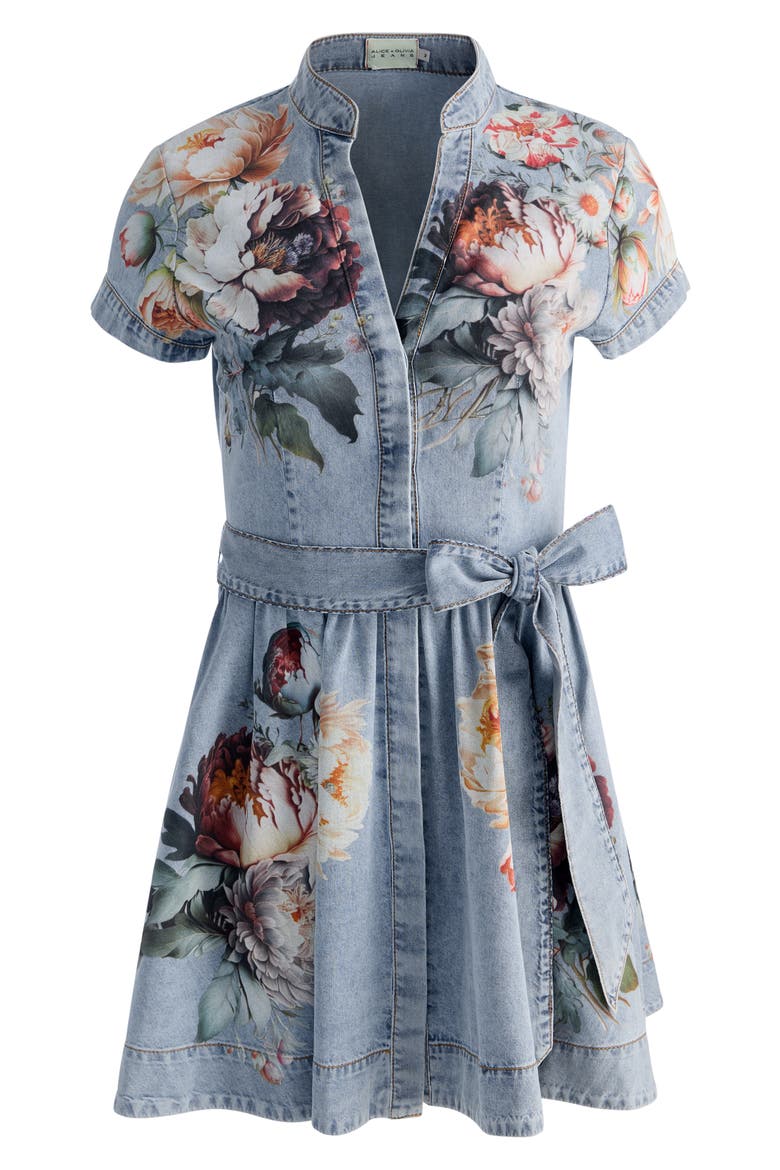Lucy Floral Denim Shirtdress, Alternate, color, SIERRA VINTAGE/ MULTI