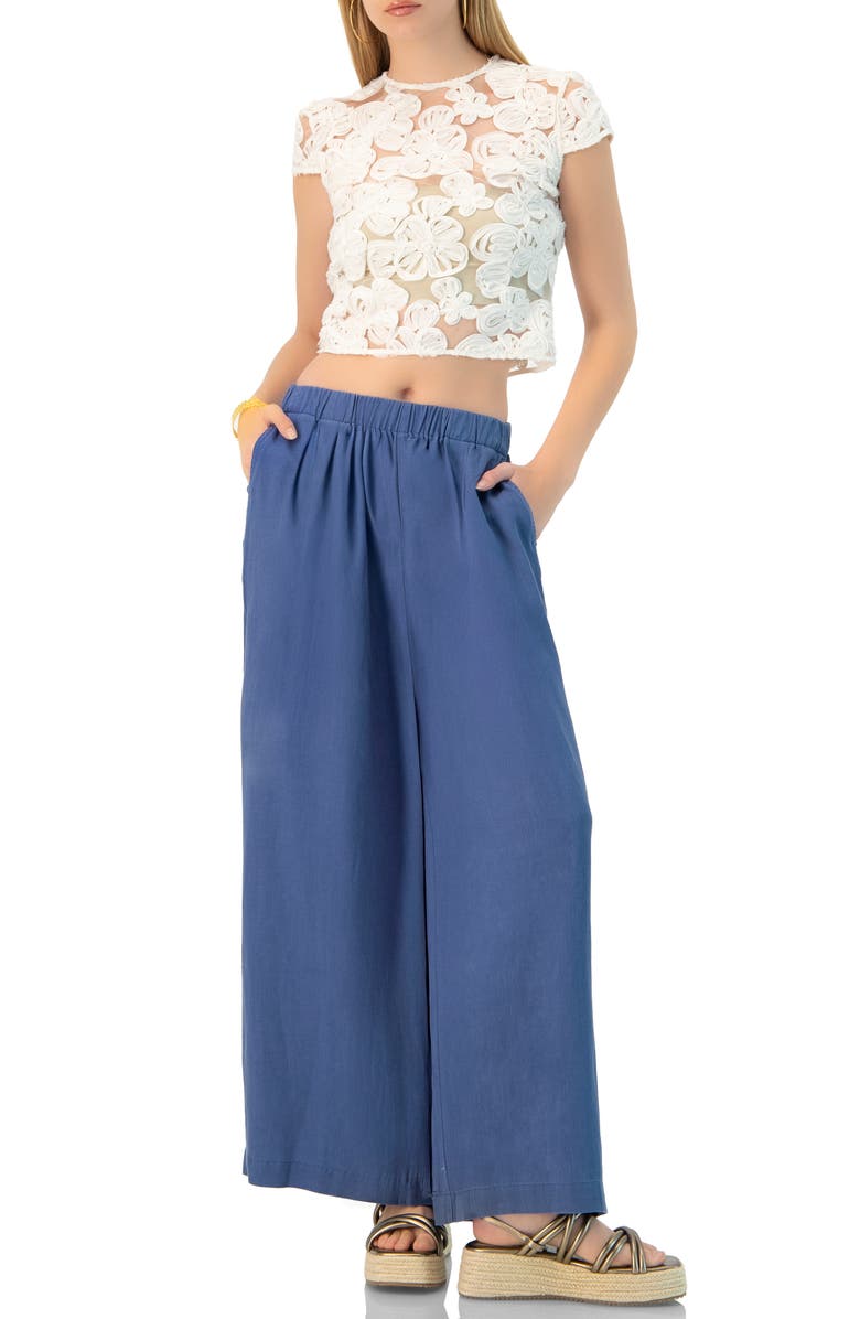 IVONNE See-Through Embroidered Top, Alternate, color, Ivory