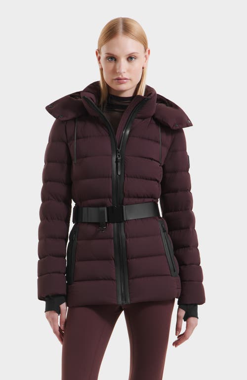 Rudsak Pelin Short Quilted Down Puffer In Burgundy