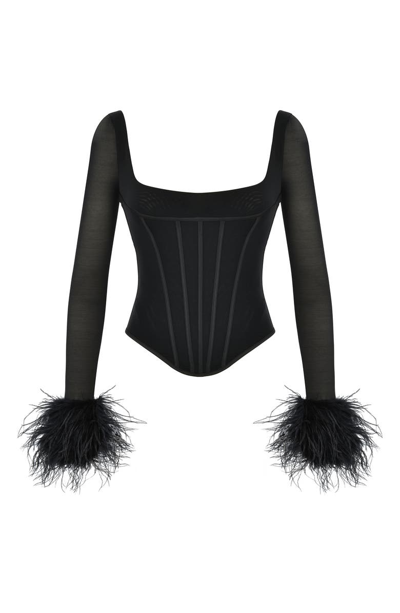HOUSE OF CB Stella Crop Feather Trim Mesh Corset Top, Alternate, color,