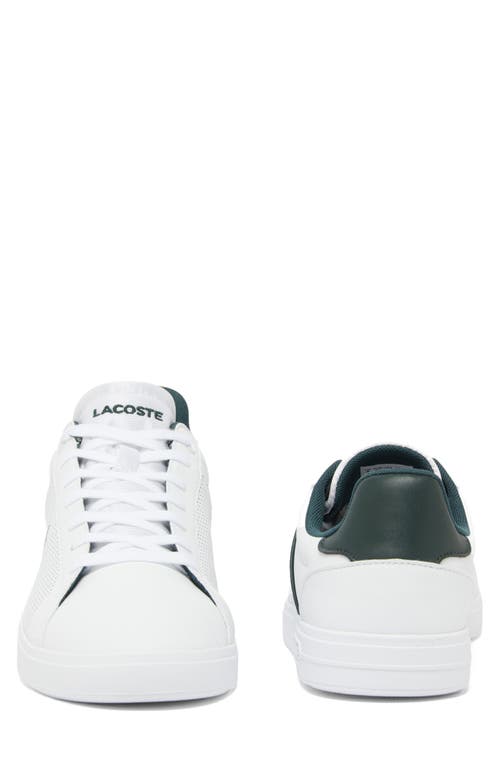 Lacoste Low Top Court Sneaker In White