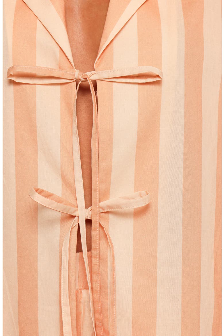 Essie Stripe Cotton Tie Front Shirt, Alternate, color, TERRACOTTA STRIPE