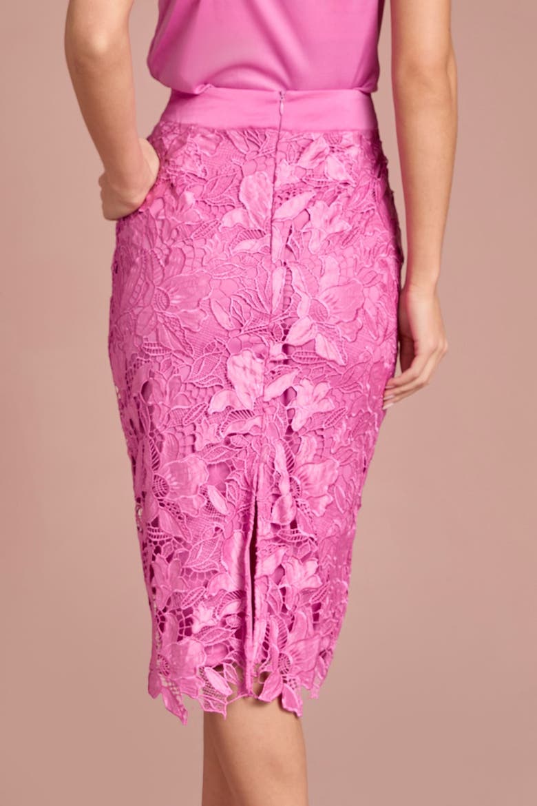 Lace Embroidered Pencil Skirt, Alternate, color, Pink