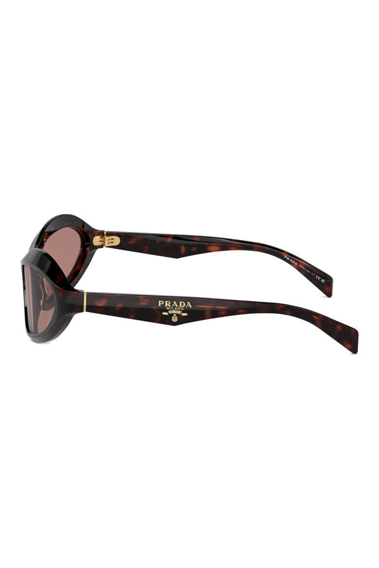 63mm Oversize Oval Sunglasses, Alternate, color, LITE BROWN