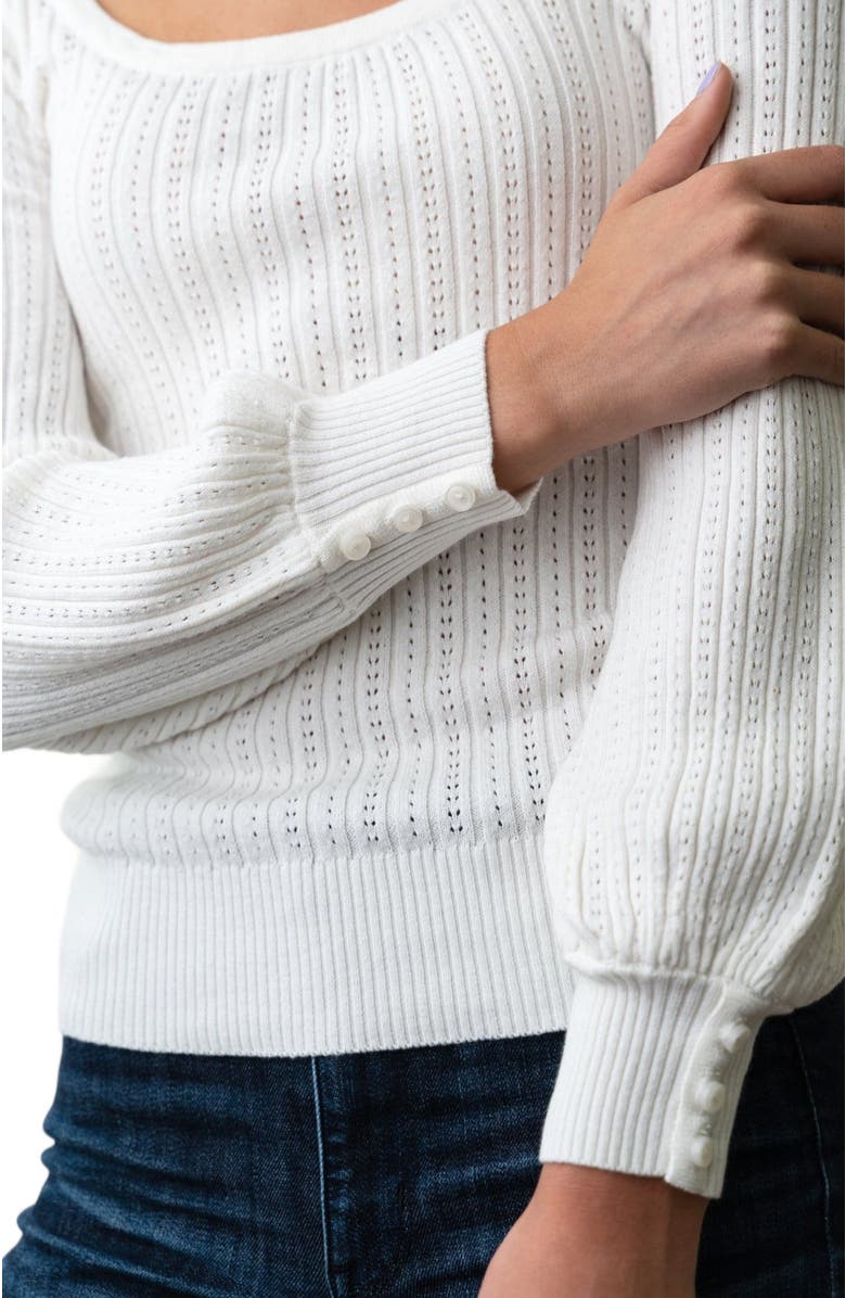 Hope & Henry Women's Scoop Neck Pointelle Sweater, Alternate, color,